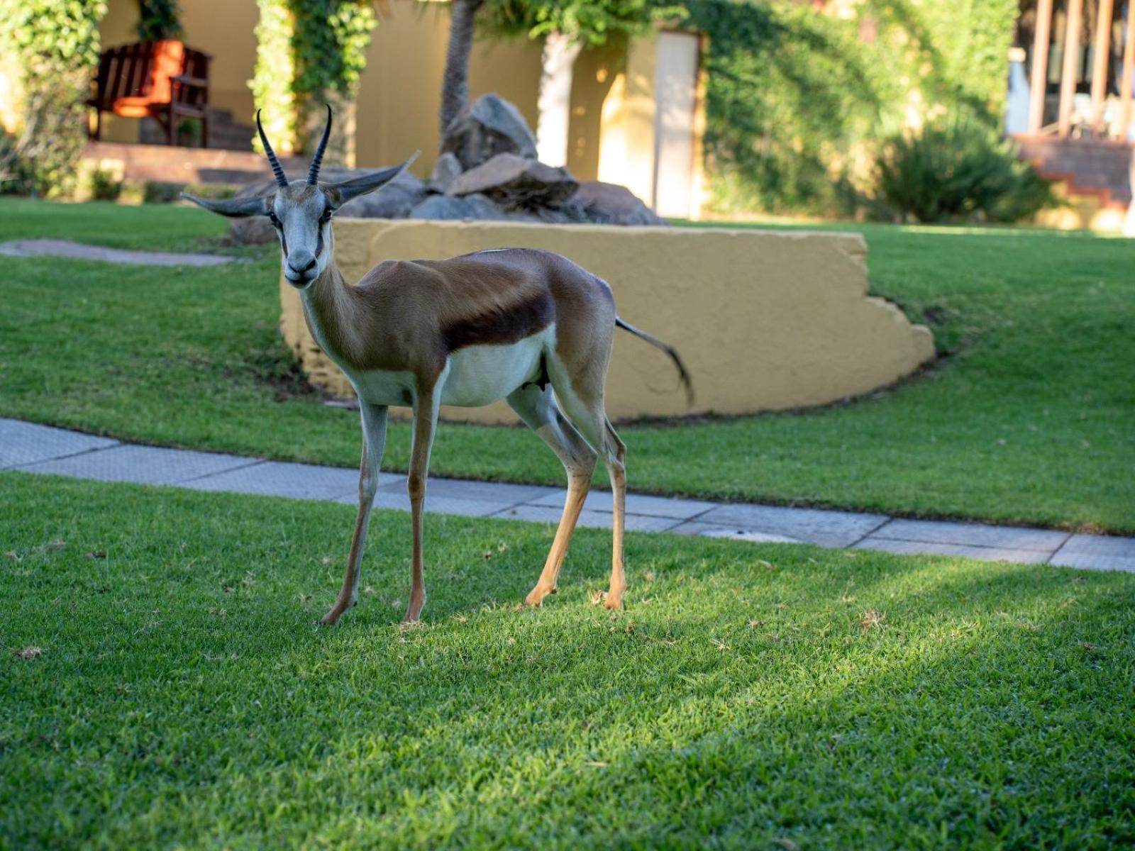Sunriver Kalahari Lodge Riverside Stay In Upington Kültér fotó